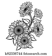 Sunflower Sunflower