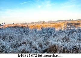 Dutch Coastal Feature