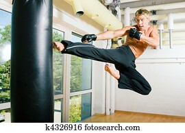 Martial Arts Flying Martial Arts Flying