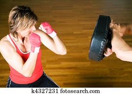 Martial Arts Sparring Martial Arts Sparring