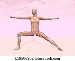 לוחם, יוגה מניחה, ל, אישה, עם, שריר, נראה