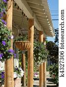 שונה, רחוב, עם, פרוח, סלים