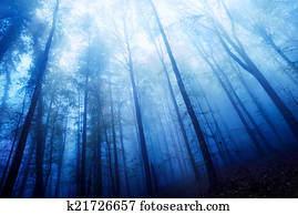 azul, crepúsculo, disposição, em, um, nebuloso, madeira