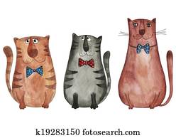 Cats Cats