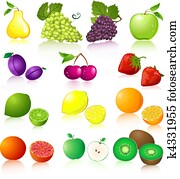 Fruit set Fruit set