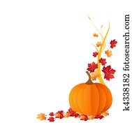 pumpkin isolated on white background pumpkin isolated on white background
