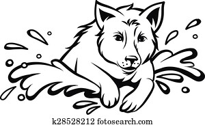 כלב, לקפוץ, הפרד