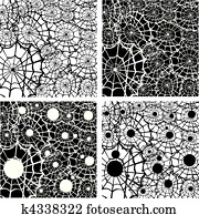 עכביש רשת, קבע