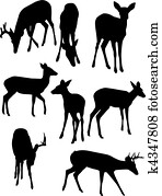 cervo whitetail, silhuetas