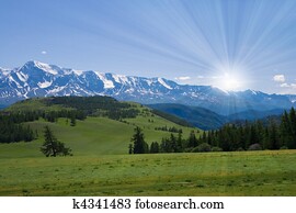 Nature landscape, meadow and mountains, wildlife of Altay