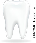 Tooth Tooth