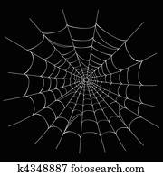 וקטור, עכביש רשת, ב, שחור