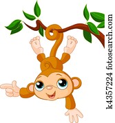 macaco bebê, ligado, um, árvore, mostrando