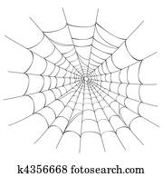 vetorial, teia aranha, branco