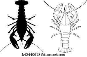 צל, של, a, לובסטר