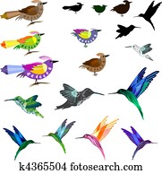 Birds set Birds set