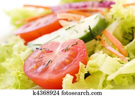 Garden Salad Garden Salad