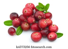 Ripe cranberry Ripe cranberry