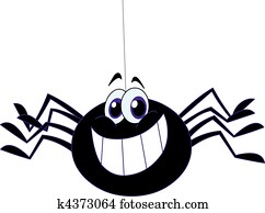 Spider Spider