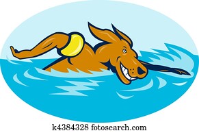 Cartoon dog swimming Cartoon dog swimming