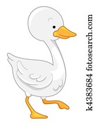 Cute Duck Cute Duck
