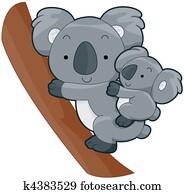 Cute Koala Cute Koala