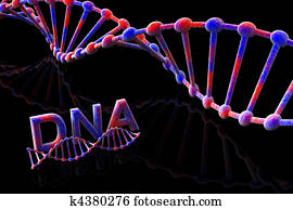 DNA DNA
