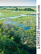 Pantanal wetland, Brazil