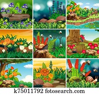 Set of background scene with nature theme Set of background scene with nature theme
