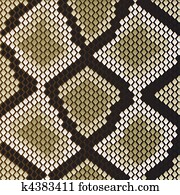 Snake skin Snake skin