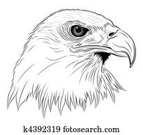 adler adler