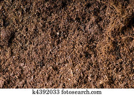 Close up of soil - can be used as background