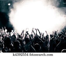 Concert crowd Concert crowd