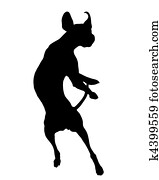 Dog training Dog training