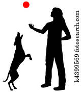 Dog training Dog training