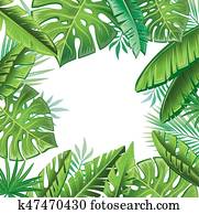Tropical leaves Tropical leaves