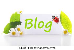 blog