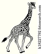 girafa, pretas, branca