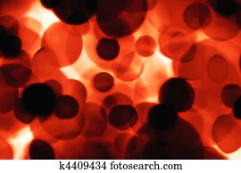 Red blood cells
