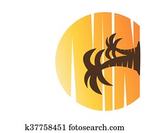 árvore palma, imagem