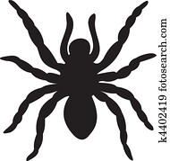 עכביש, וקטור