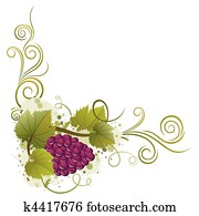 grape grape