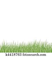 grass grass