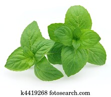 Peppermint Peppermint