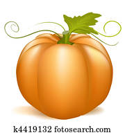 pumpkin pumpkin