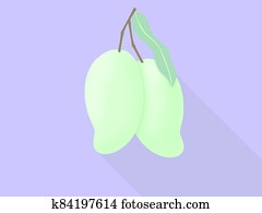Two green mango of tropical fruit icon for poster in flat design on a purple background Two green mango of tropical fruit icon for poster in flat design on a purple background