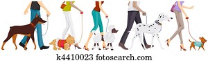 Walking Dogs Walking Dogs