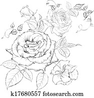 Bouquet of roses. Bouquet of roses.