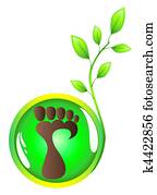 Human foot Human foot