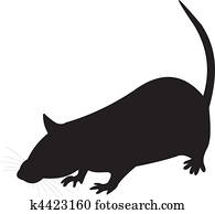 maus, vektor maus, vektor